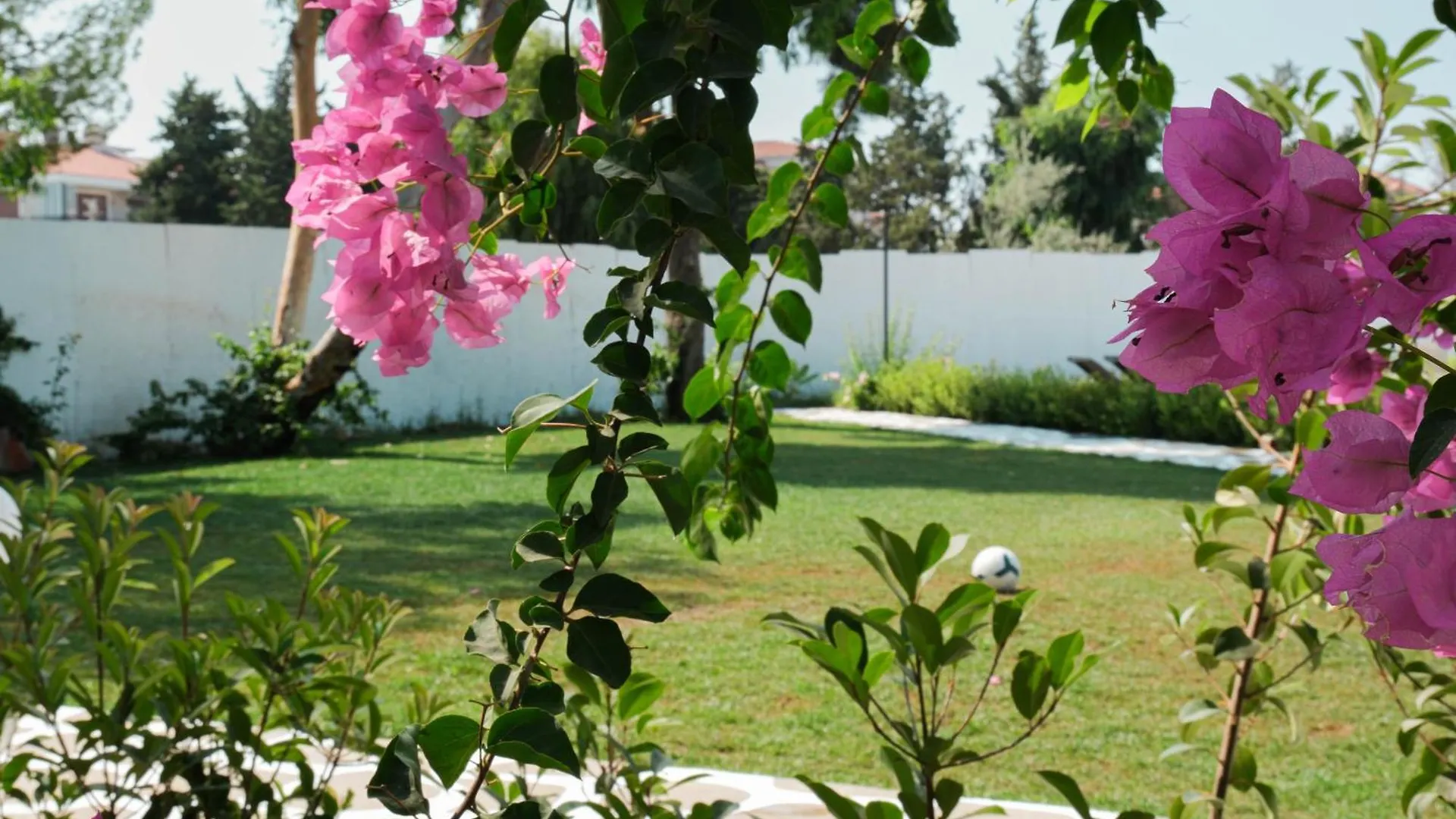 Sigacik Gaea Hotel İzmir Türkiye